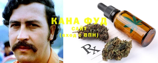 эйфоретик Михайлов