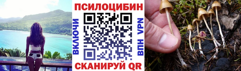 где найти   hydra зеркало  Галлюциногенные грибы прущие грибы  Адыгейск 
